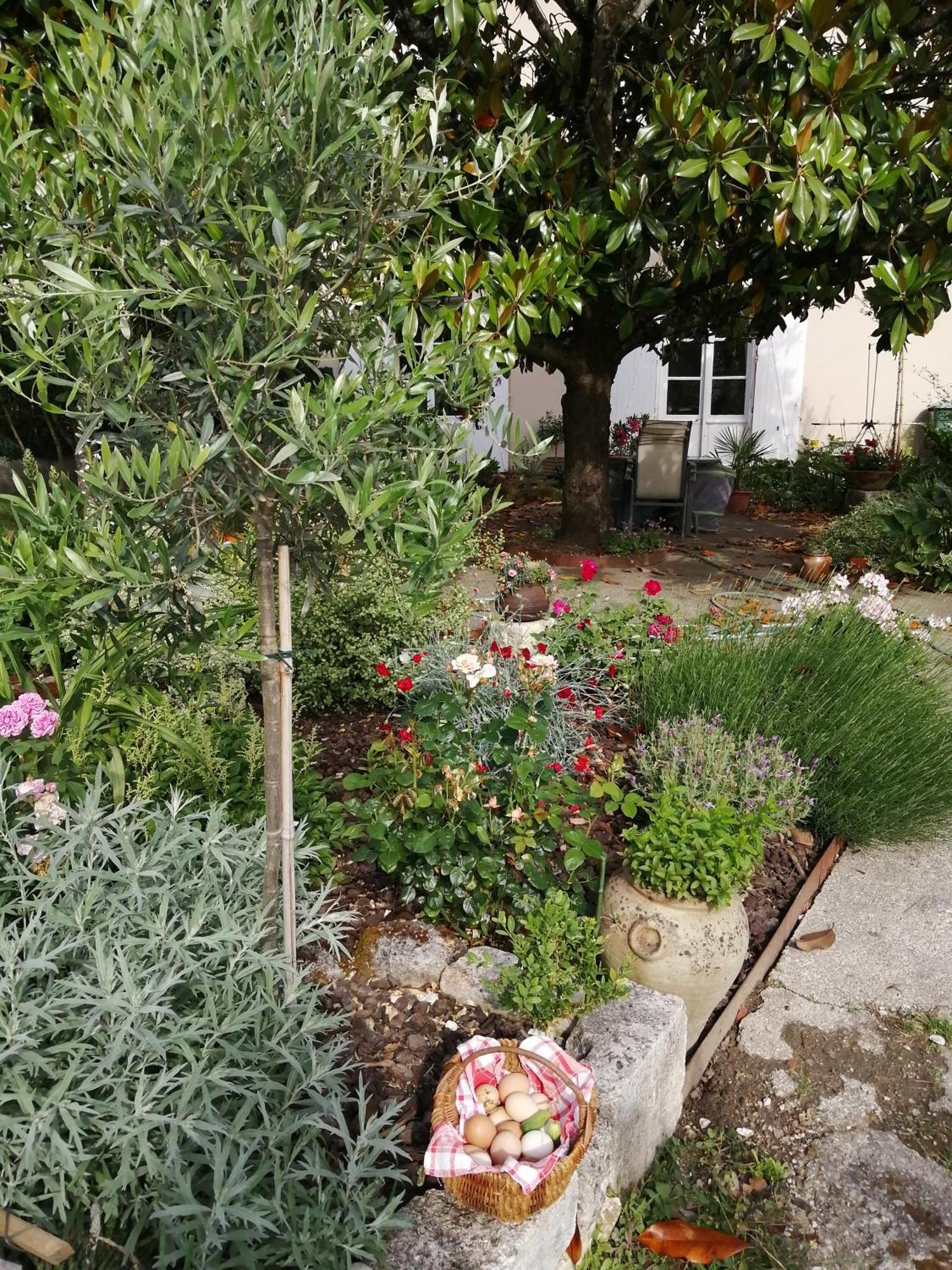 昂古莱姆Au Logis De Vechillot住宿加早餐旅馆 外观 照片