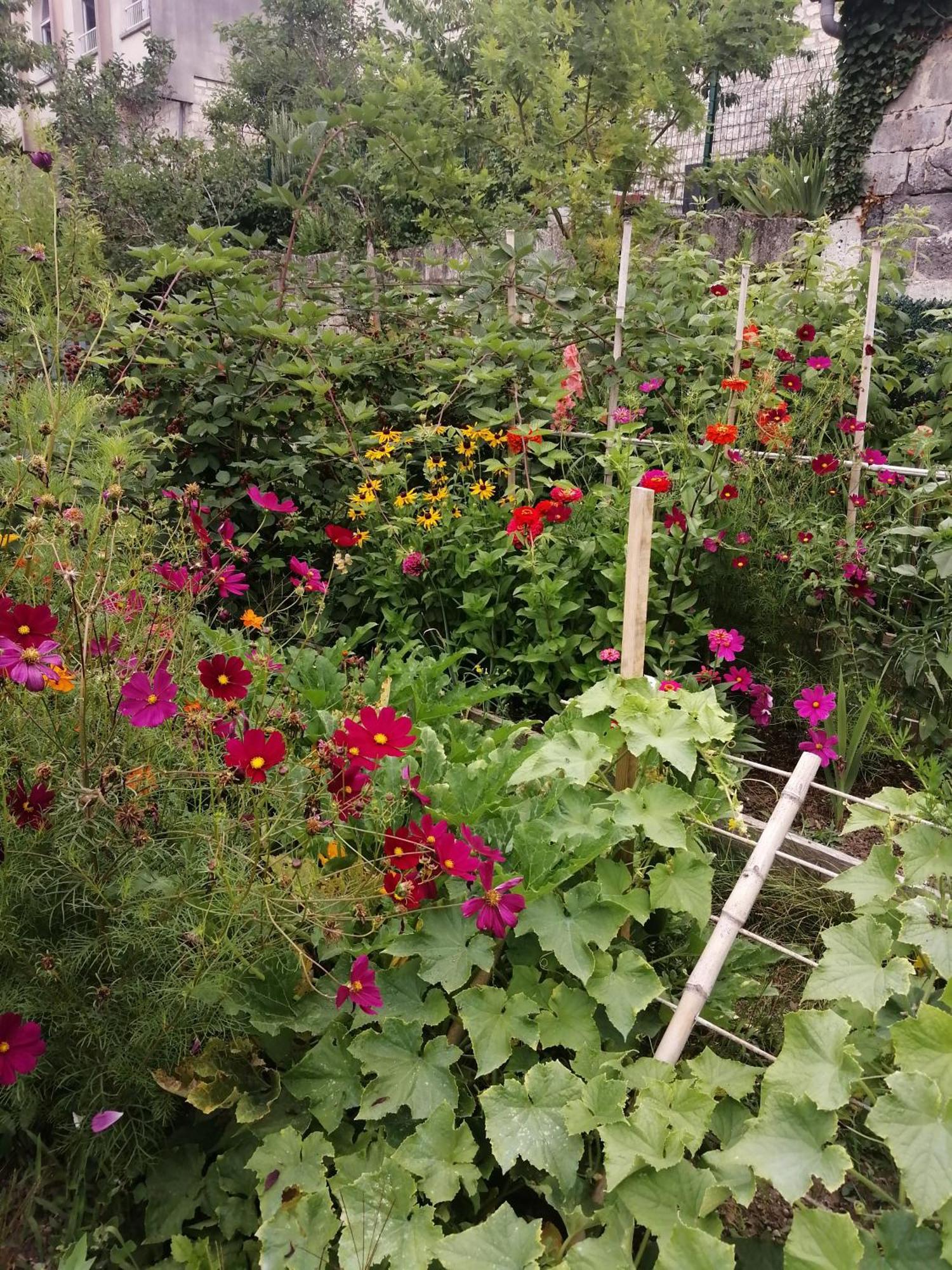 昂古莱姆Au Logis De Vechillot住宿加早餐旅馆 外观 照片